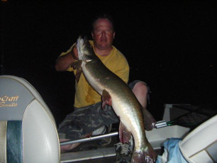 0E56B3A6-C76D-489C-9A1F-CF04A3B22341