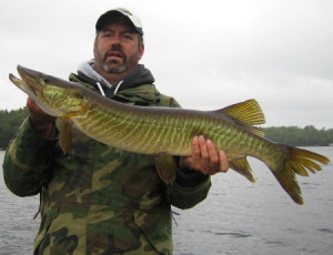 0F10D36D-6046-4CFC-8D42-93000C80752D