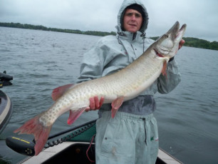 0FA772B1-0A18-4C9C-B873-E6FC4CC7CE8A