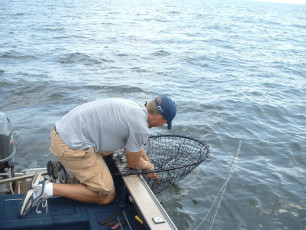 0a052bd1-1ddb-4dc8-a28e-0a19811b5d53