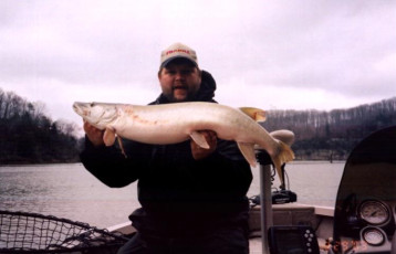 0a3d6c6a-8a97-4bb6-bbff-757ed046c493