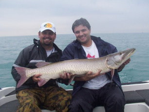 0a751454-0106-4ef0-a3c0-e59ce1d792d8