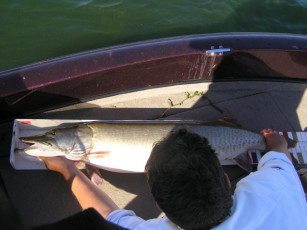 0b8a3c59-fd23-4419-875f-9f4148a76620