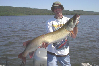 0bf4b525-6079-4acd-bc5b-568d9aae7822