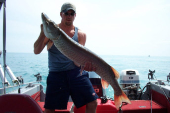 0d398b00-78cf-4cfa-8f51-855261fd96e1