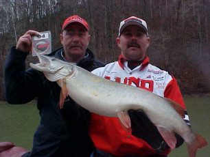 0d61c56f-78f3-45ae-aacd-5a1545efb98f