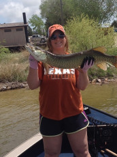 10232D0B-7B59-44AD-A805-E7598BB6D099