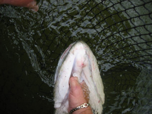 102fa23a-fcec-4a74-9d1f-7384c06a4602