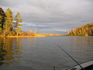 10a6bd31-8217-429f-b245-372beb7eed60