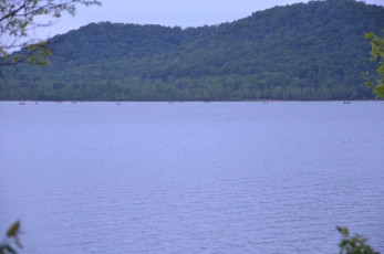 11A32CA7-6AA8-4C9F-9D88-5E2A35809438