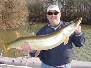 11ae3191-4815-4a12-89a4-1d66d293dc0f