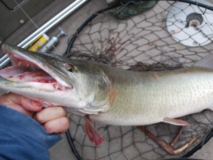 123556CD-9527-4186-B691-F11D3E28256C