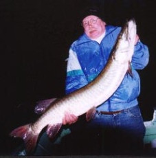 127ece98-b017-423d-8d8e-9c6b513e3d27