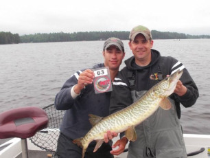 12B73CEE-73D4-408E-A353-20D85861AEE5