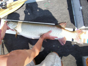 12b382bf-6929-4346-aa0e-7c8a785f0ce3