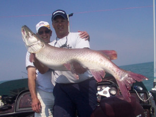 12b8ae5d-0141-4fc5-9ff6-48f2b3af5a43