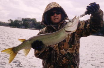 13155452-fb80-4db6-8aba-42004481a38f