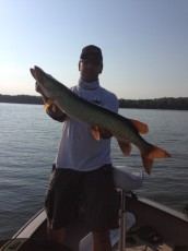 131C44F0-7AC2-4A17-9E9B-880ED1804734