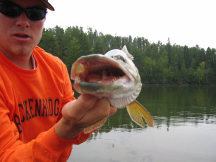 1365419f-f668-47f3-9b95-73503d7a628d