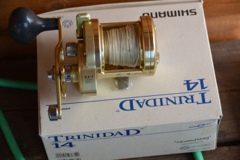 13B91996-5613-443C-977D-FD0D1B9499A5