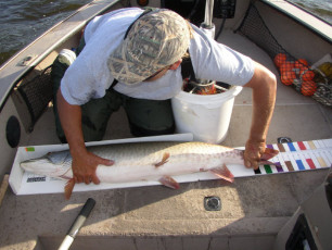 13a2324b-6cf3-4878-b04a-14c227087998