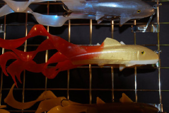 14250B88-CA11-4892-92C9-329BAA2B622F