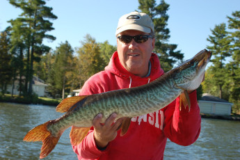 143ADEEB-FE70-4B25-A3FE-D3F1F4D25BD4