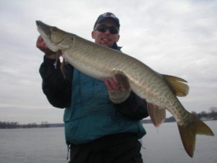 148296ef-4510-4d0f-8f40-7521c0a6686f