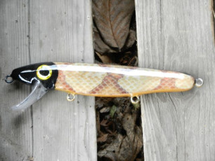 14ED614E-32DE-460D-8F00-B99CD5A49C83