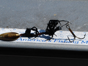 152B2B02-E838-4055-8974-A4DF5F65AE33