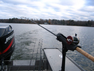 1532ff05-7b9d-48af-b563-f81ef1676dcb