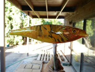 158E5BA0-F334-4BAF-A130-FA5B581C8C70