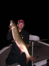 15e9d208-45f7-4595-add3-9e5aa11cf653