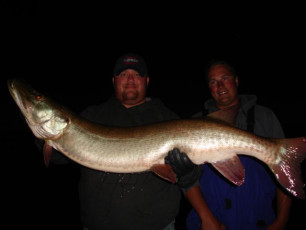 1635cf8d-4d6d-4817-aa40-6fc4d3778f6c