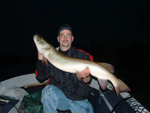 16436500-1d33-48f5-92bb-7f4c26639b7d