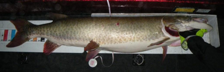 168BF1F7-38EC-4FA5-B050-128A1B05678D