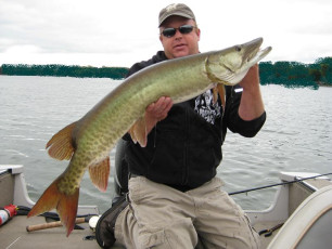 16A36876-B24B-44D2-8425-8905FEAB710E