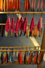 17352FD7-89C8-44B2-B45C-3146FC8B7878