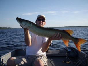 173C8333-EBCD-4ABE-90BF-B2C9D197843A