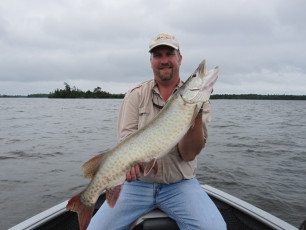 17CB8603-2C5E-4508-BA17-4EFBC1E2FB03