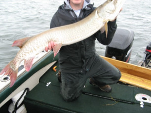 17F30156-7810-4A24-A4F3-388DF87BDCB1