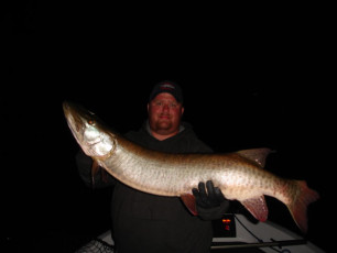 17d8af29-3b66-42b0-a719-77401542920a