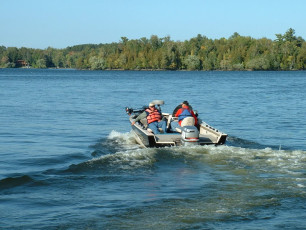 181a65b1-51a8-4f3f-96b0-b59b3bf67d36