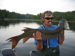 183705f0-e0b2-4cf3-9ad1-5c3c76204c82