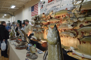 183D2887-1968-48D9-BE1A-DFC109D13753