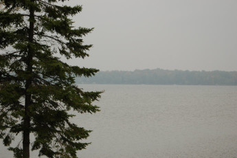 183e0e5a-6caa-4e97-94a9-0928f80ad7b9