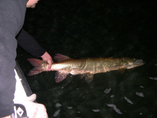 18484b48-9e99-4b8d-8be3-e19f2946926f