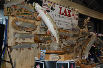 1867E2A6-91A1-4E38-89E0-A8CC93C9D5C7