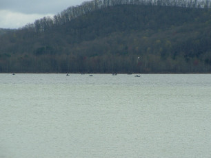 18768866-9900-4da0-aafa-617853cdc010