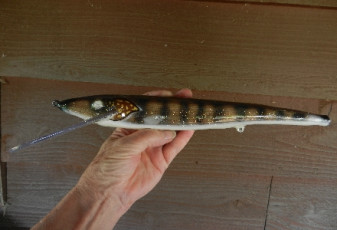 18A1B84D-4701-4EAC-93D0-43AB47E6C7C9